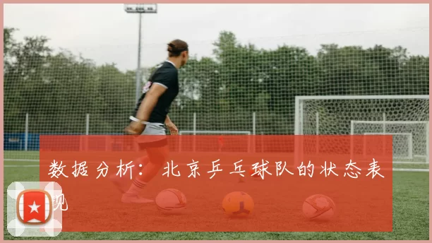 数据分析：北京乒乓球队的状态表现