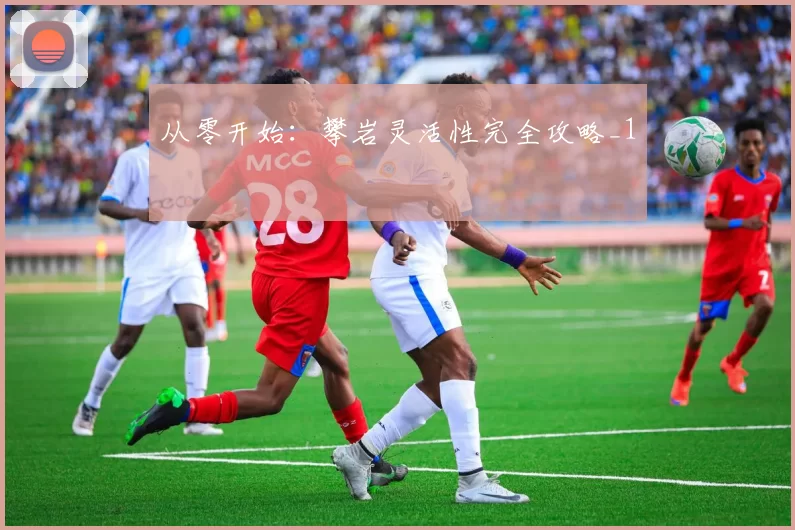 从零开始：攀岩灵活性完全攻略_1