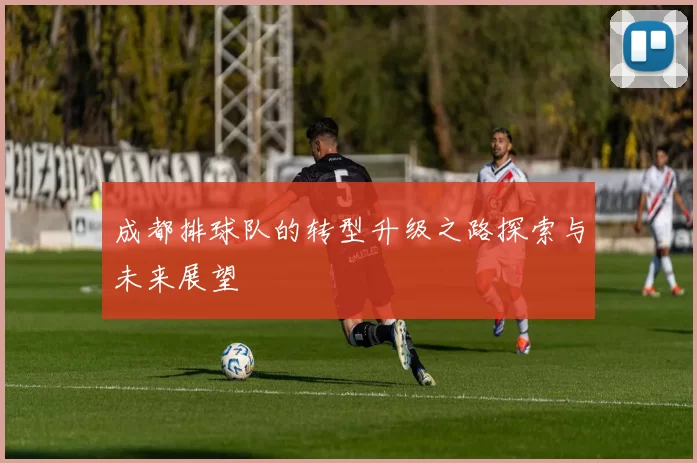 成都排球队的转型升级之路探索与未来展望