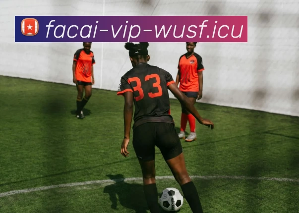 乐鱼体育平台生态图